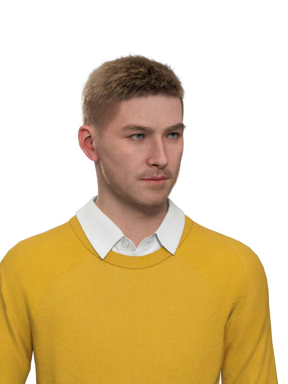 3d Avatar, AI Avatar-Halvey
